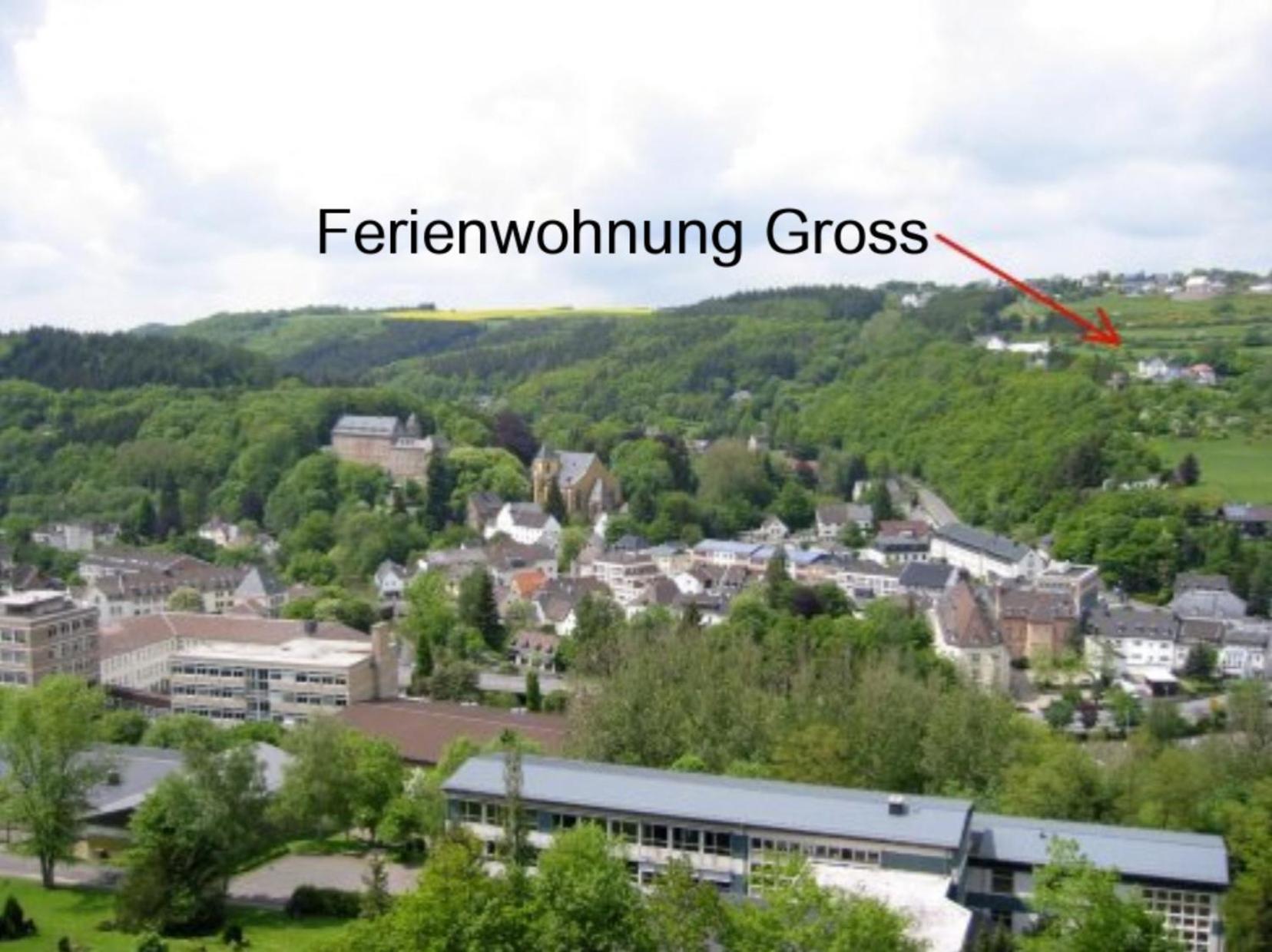 Ferienwohnung Gross A シュライデン エクステリア 写真